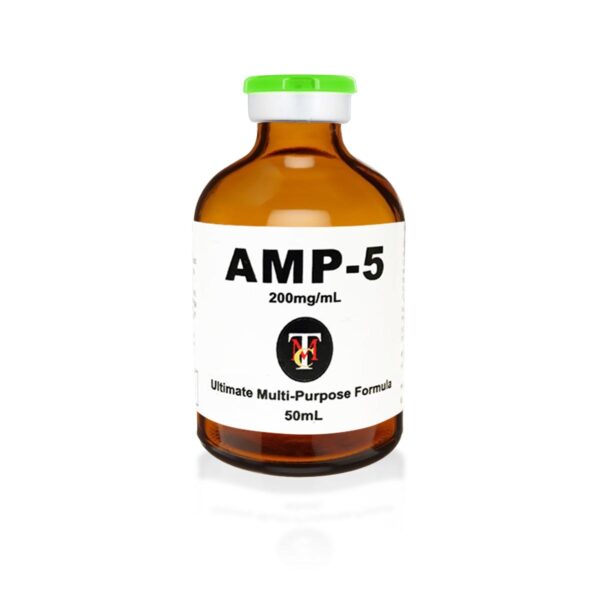 AMP5_rev3