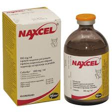 Buy-Naxcel-100mg-Injection-Suspension