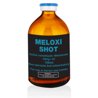 Meloxi Shot 100ml – Meloxicam 20mg/Ml