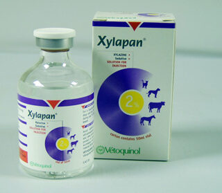 xylapan