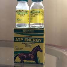 ATP Energy 10ml