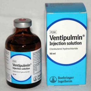 Ventipulmin injection