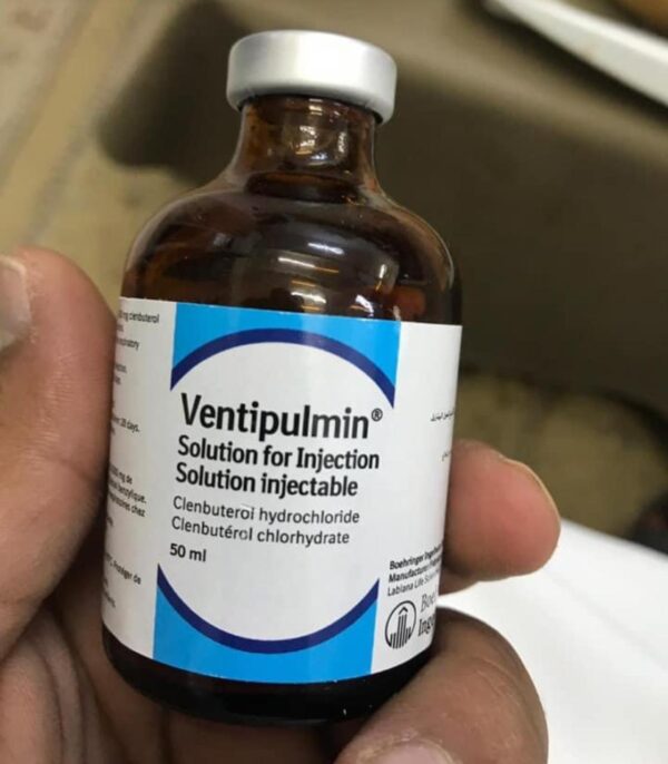 ventipulmin injection