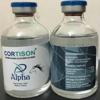 cortison injection