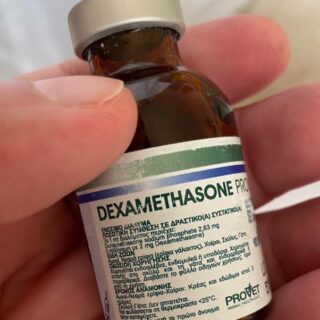 dexamethasone provet