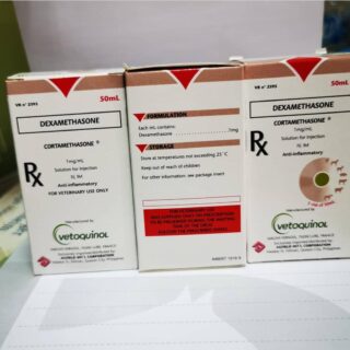 dexamethasone-injection