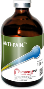 Anti Pain