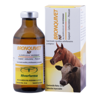 Bronquivet