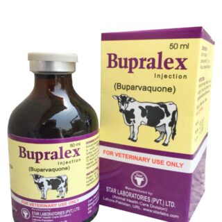 Bupralex Injection
