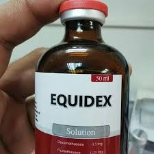 EQUIDEX