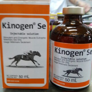 Kinogen SE