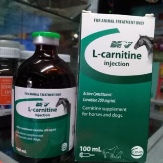 L-CARNITINE