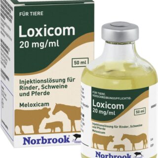 LOXICOM 20MG/ML