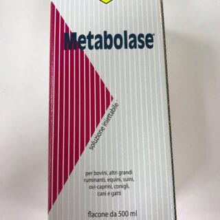 METABOLASE