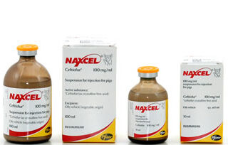 Naxcel 100 mg/ml Suspension for Injection