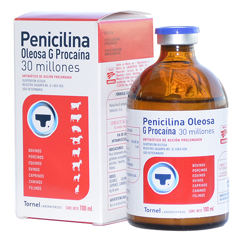 PENICILINA G PROCAÍNA OLEOSA