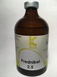 PREDNIKEL 2.5
