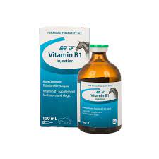 Vitamin B1 Injection