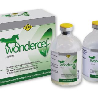 WONDERCEF